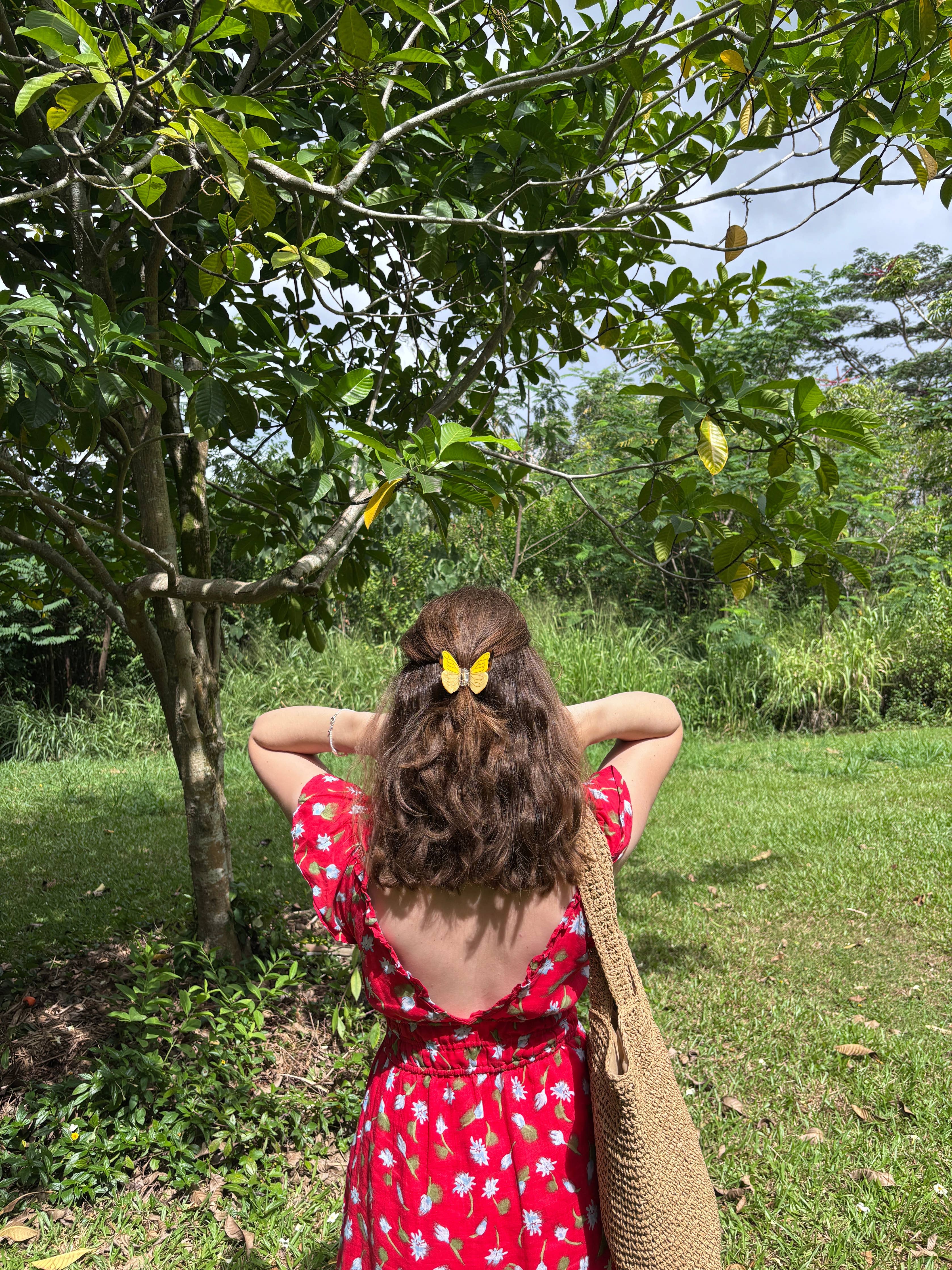 Butterfly Claw: Yellow