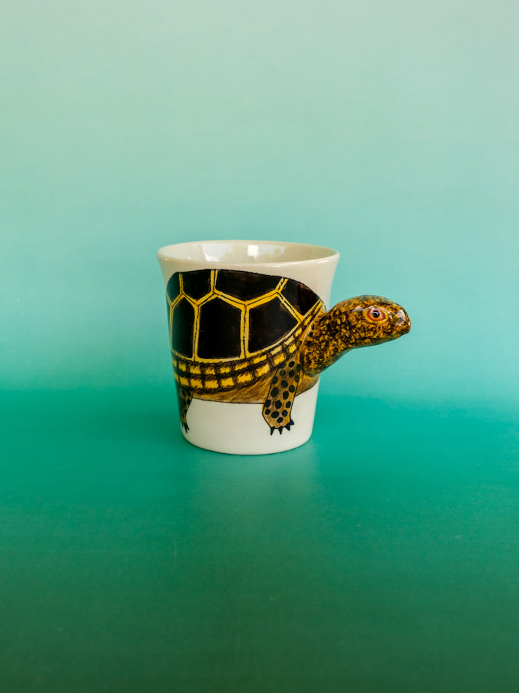 Eastern Box Turtle Mug