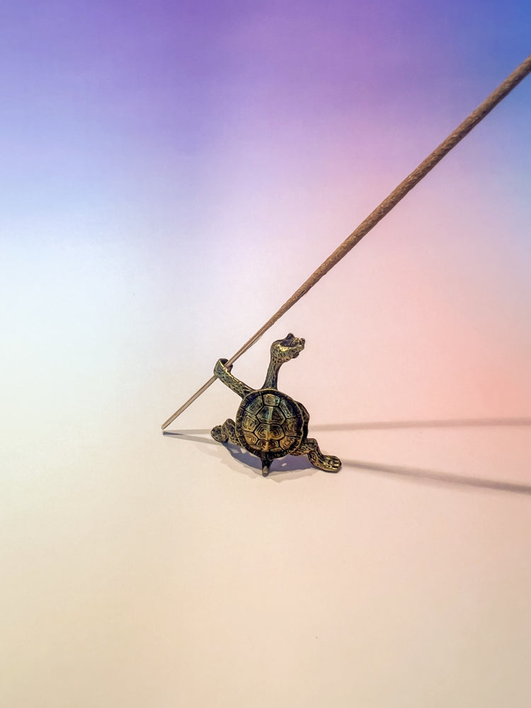 Incense Holder: Kung Fu Turtle (Bronze)