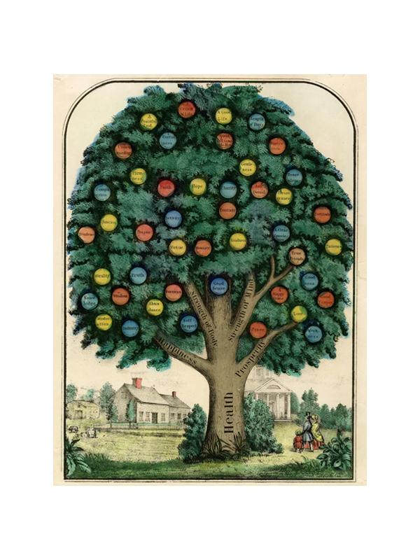 John Derian Wrapping Paper Book II