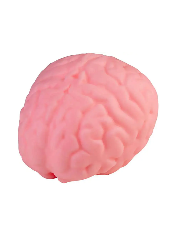 Jumbo Squishy Brain