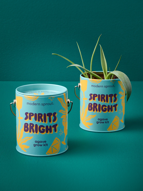Holiday Grow Kits: Spirits Bright (Agave)