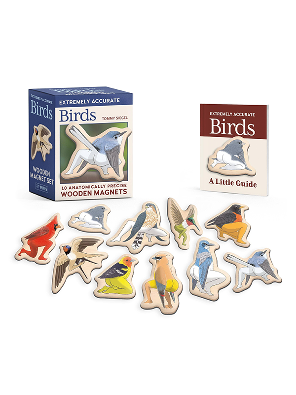 Extremely Accurate Birds Wooden Magnet Set