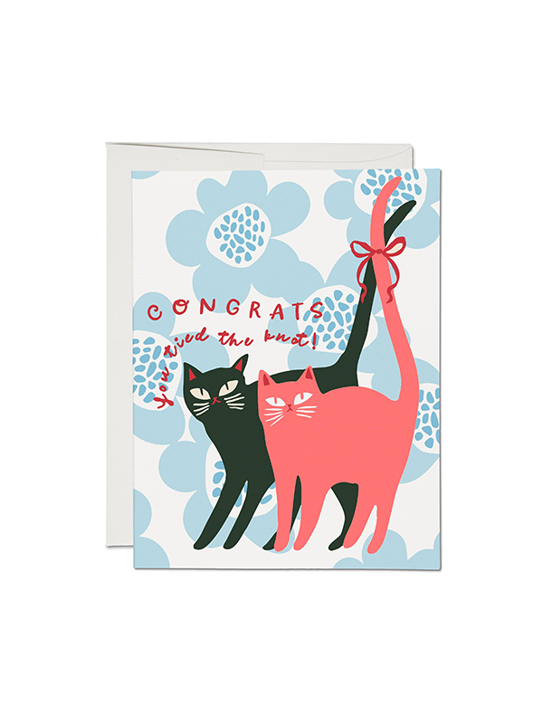 Tied Knot Cats Card