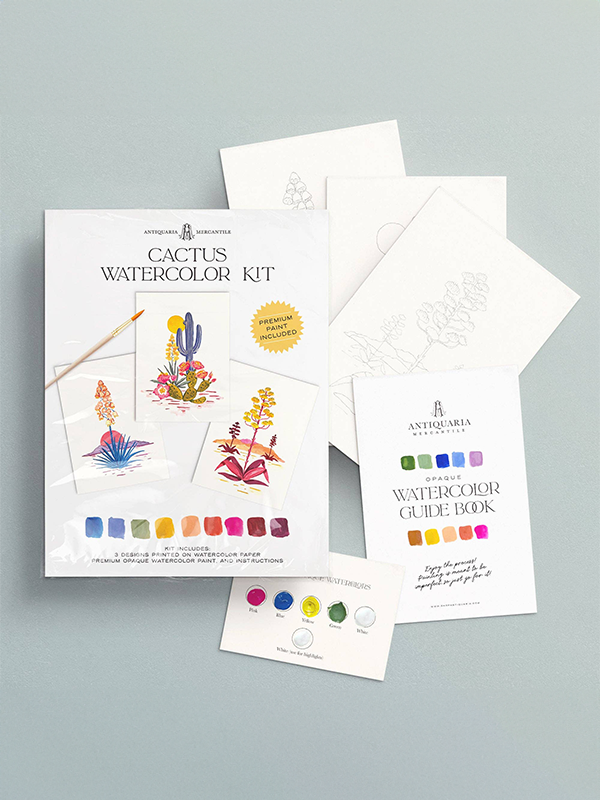 Watercolor Painting Kit: Cactus