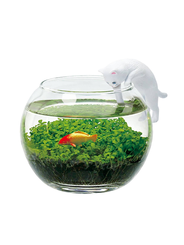 Water Garden with Cat: White