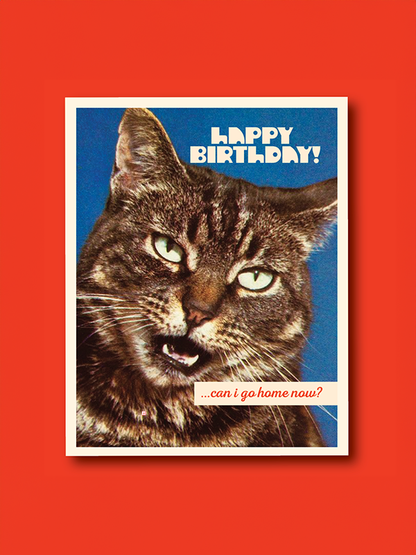 Go Home Cat Birthday Card