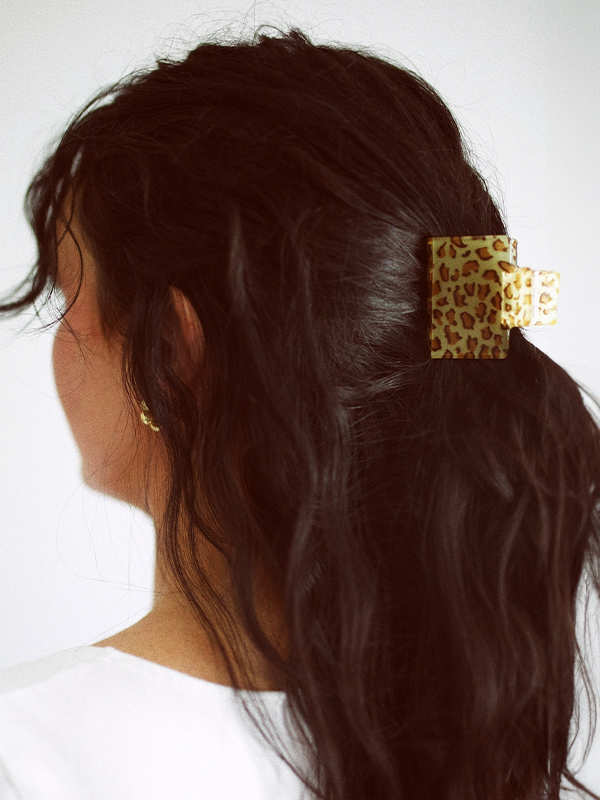 Pia Clip: Cheetah