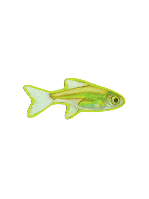 Yellow Phish Sticker