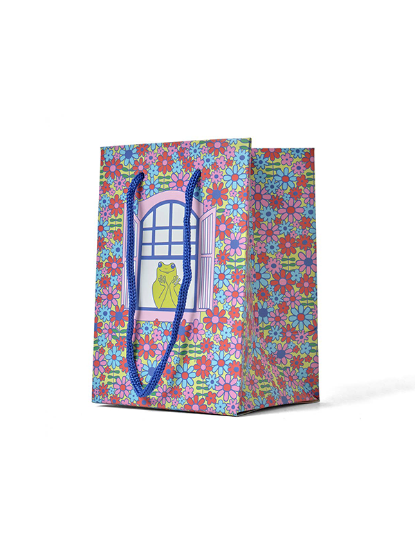 Froggy Window Gift Bag: Mini