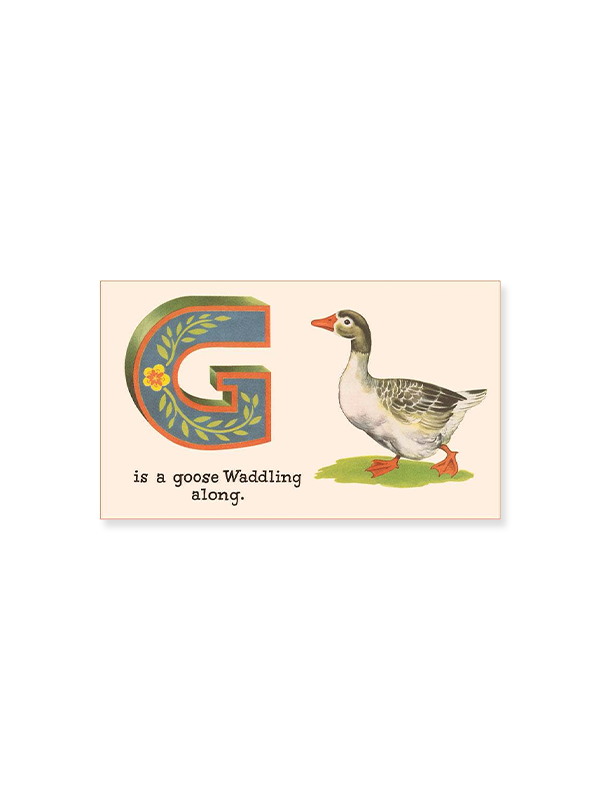 Magnet: G is a Goose