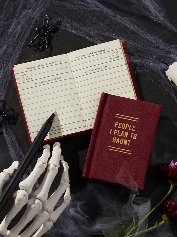 People I Plan To Haunt Tiny Diary