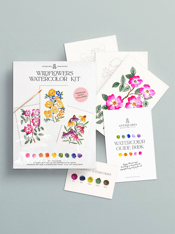 Watercolor Painting Kit: Wildflowers No. 1