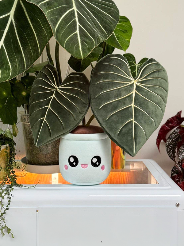 Philodendron Gloriosum Plushie