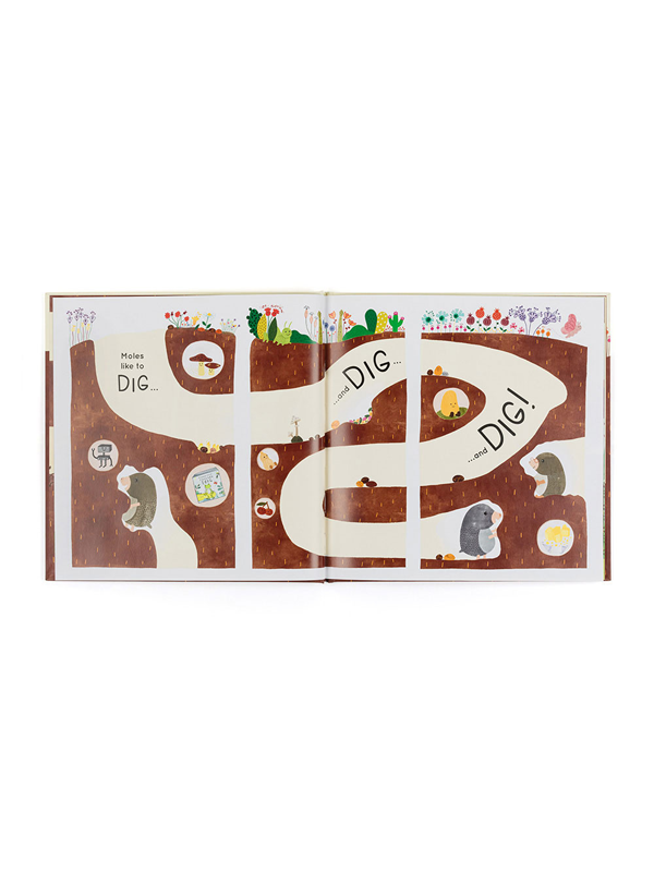 Muswell Mole And The Buried Treasure Book