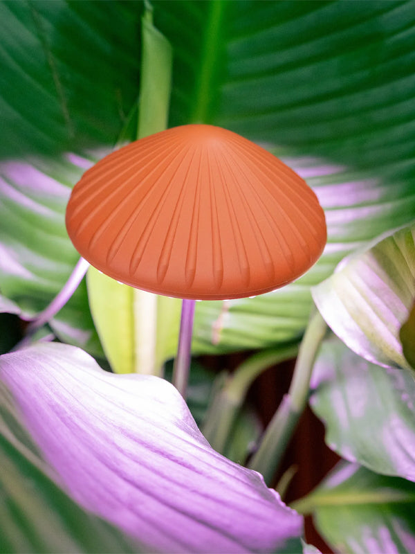 Mushroom Grow Light