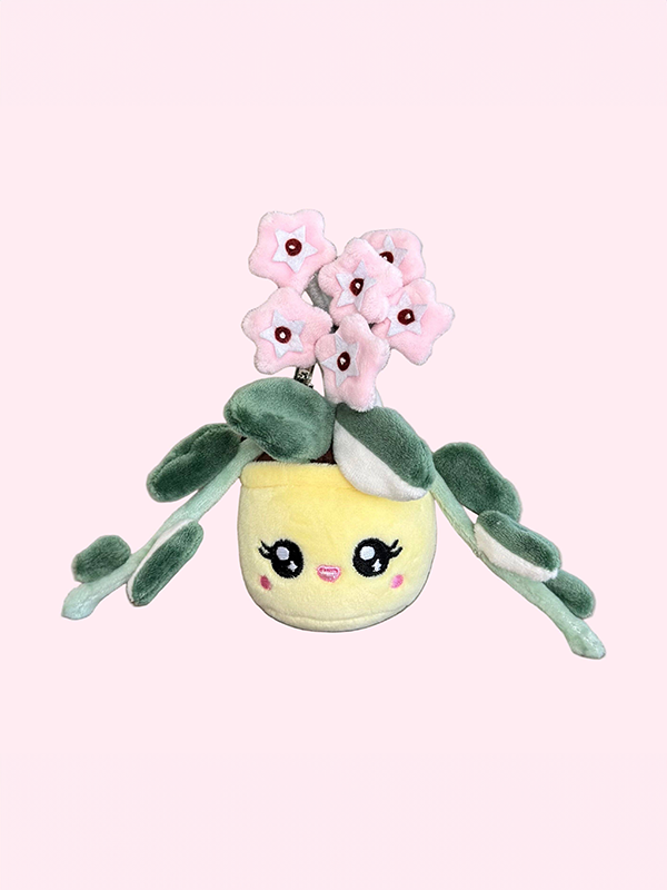 Hoya Carnosa Krimson Queen Plush Keychain