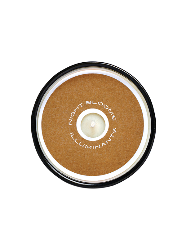 Palo Santo 8 oz. Candle