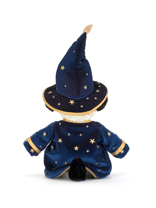 Rufferty Puppy: Wizard Outfit