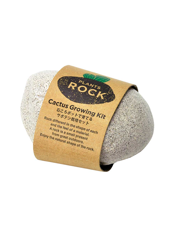 Plants Rock: Cactus Grow Kit (Assorted)