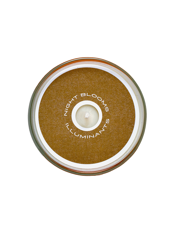 Prickly Wild Rose Candle 8 oz