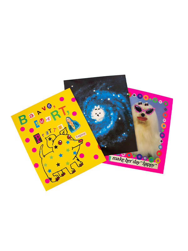 Organized Chaos Pocket Folder Set