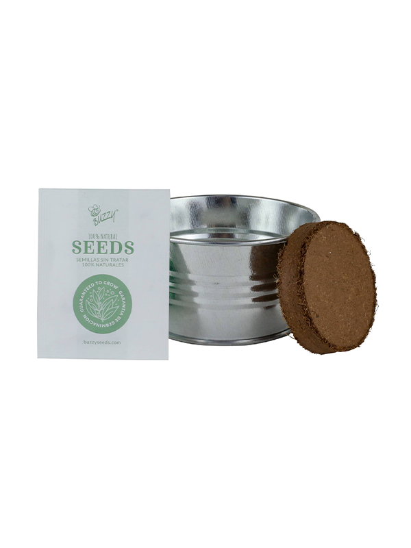 Mini Moss Rose Grow Kit