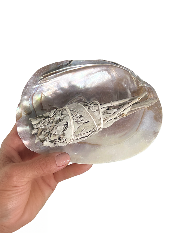 Pearl Shell Dish