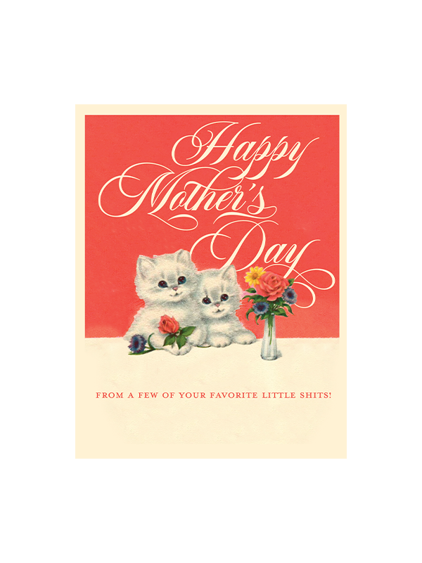 Little Sh*ts Mother's Day Card (Cats)