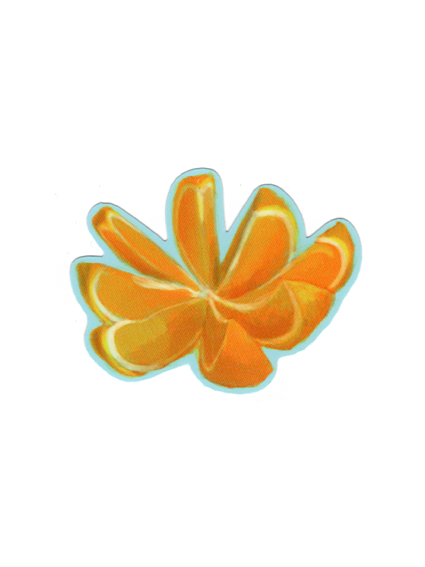 Orange Sliced Sticker
