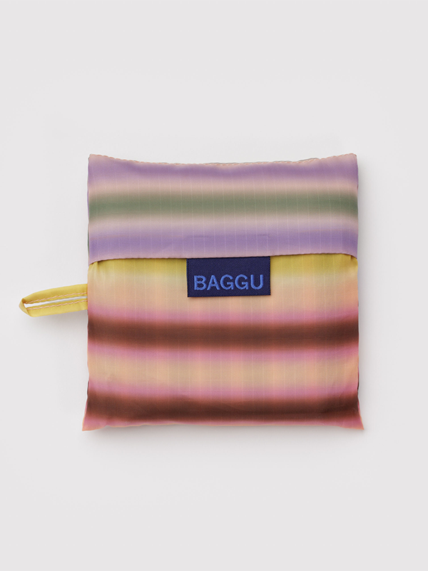 Standard Baggu: Gradient Stripe Multi