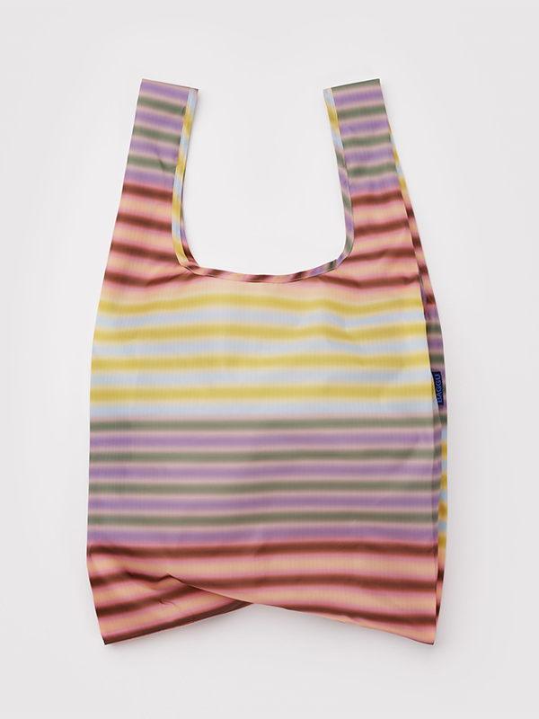 Standard Baggu: Gradient Stripe Multi
