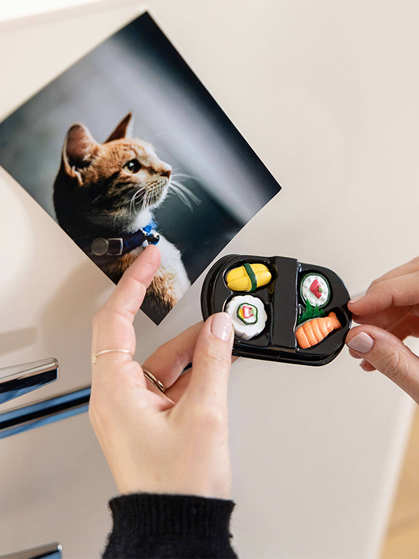 Sushi Magnets in Bento Box: Set of 4