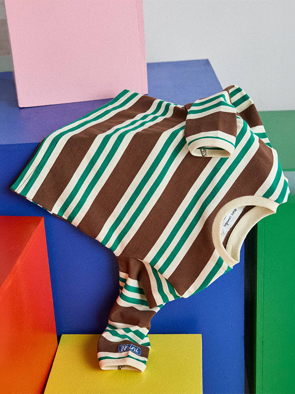 Striped Heavyweight Long Sleeve Tee: Green