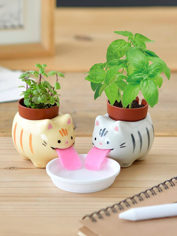 Peropon: Grey Tabby Cat (Sweet Basil)
