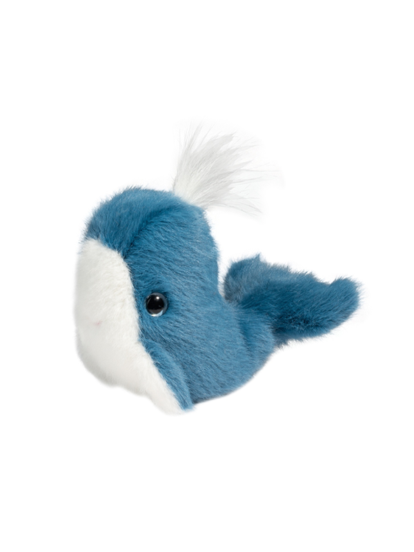 Lil Baby Whale