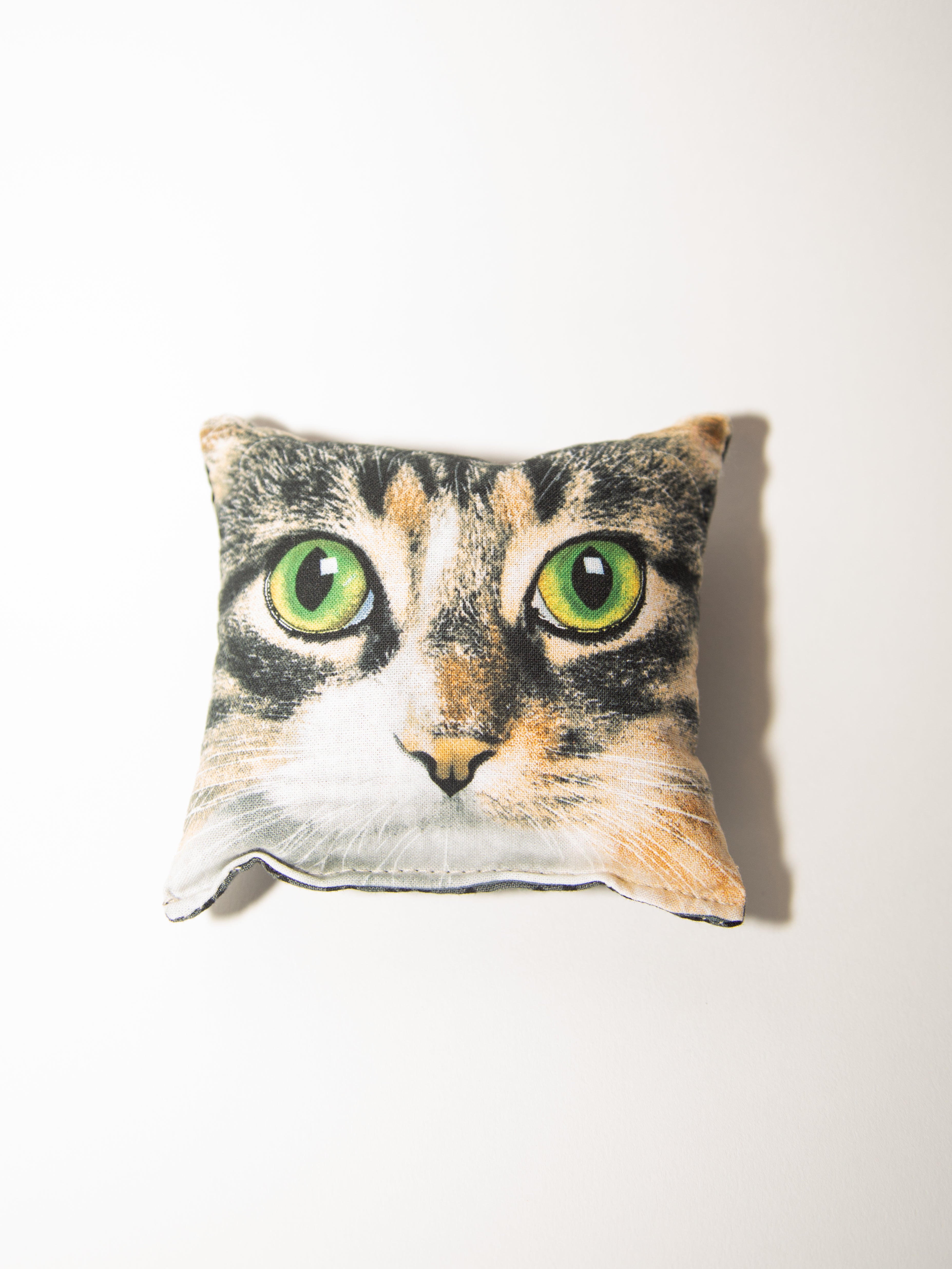 Cat Eyes Balsam Filled Pillow: Assorted Kitties