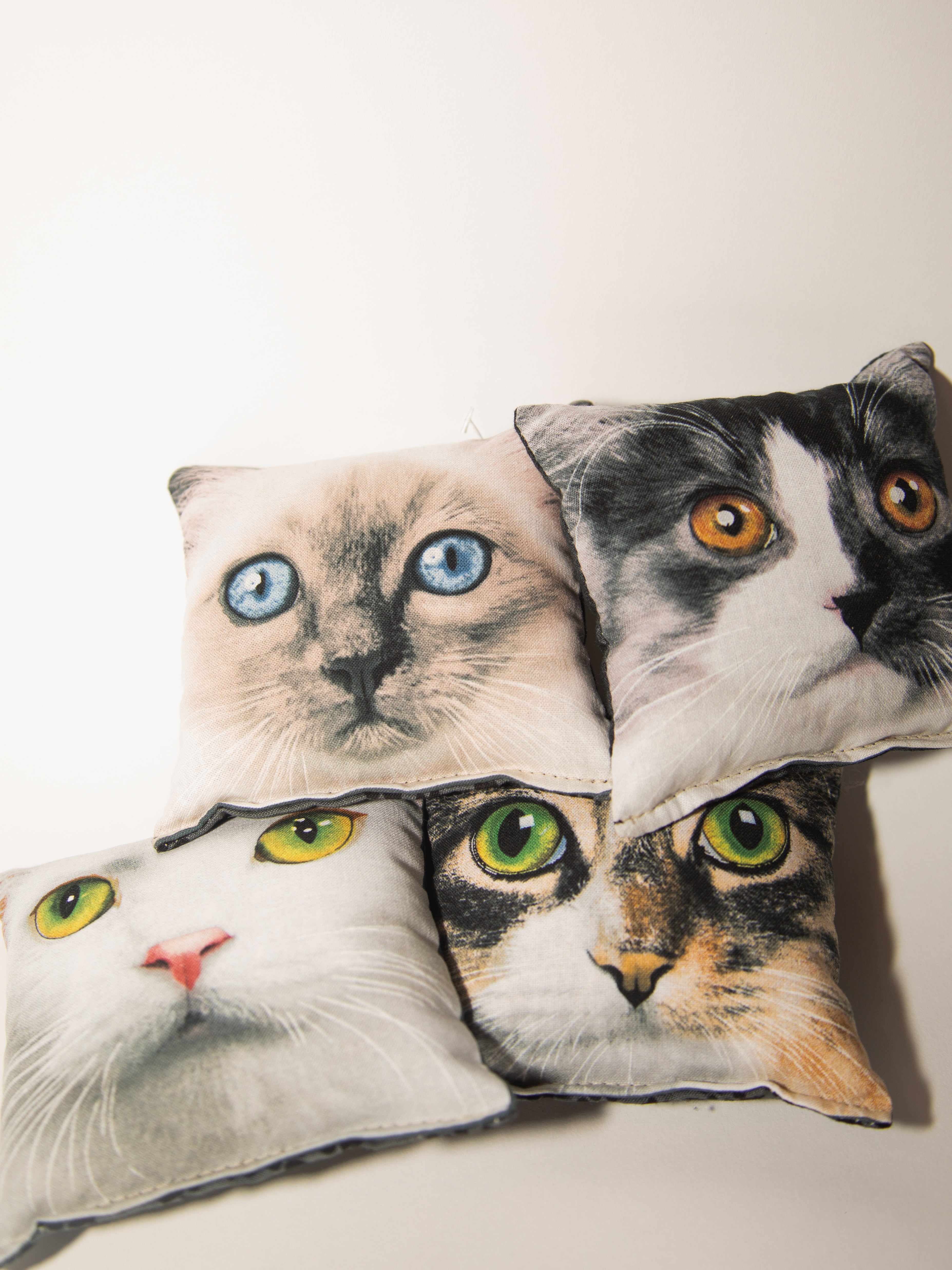 Cat Eyes Balsam Filled Pillow: Assorted Kitties