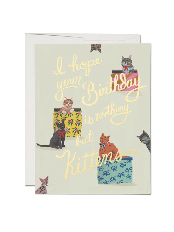 Nothing But Kittens Card