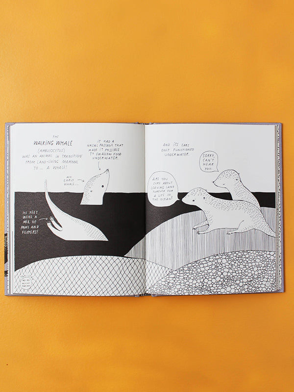 children's book
