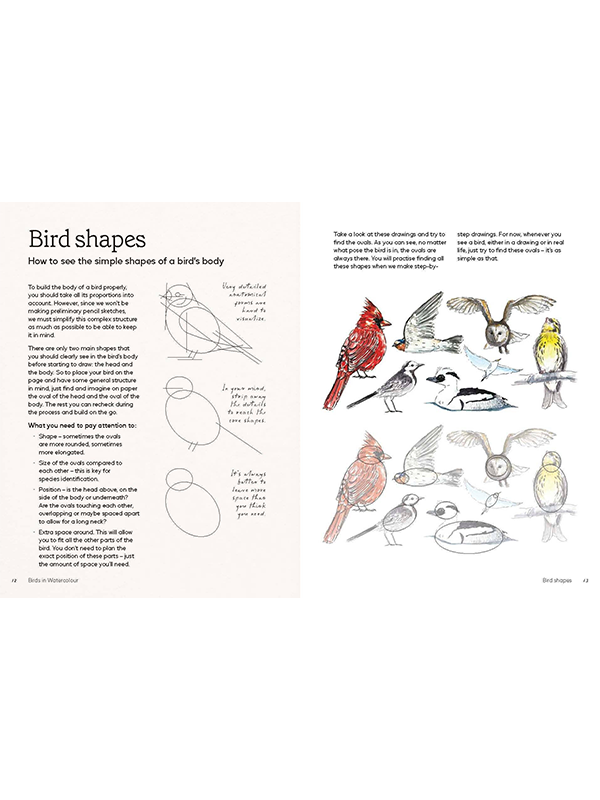 Birds in Watercolour: A Beginner's Guide to Drawing and Painting Birds