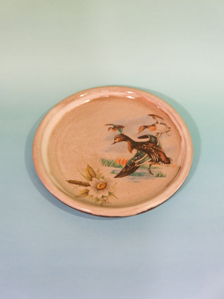Coaster: Ducks (Grey)