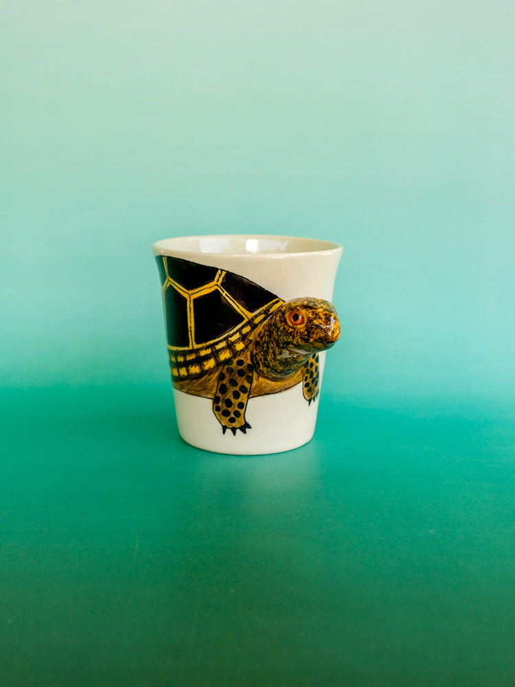 Eastern Box Turtle Mug