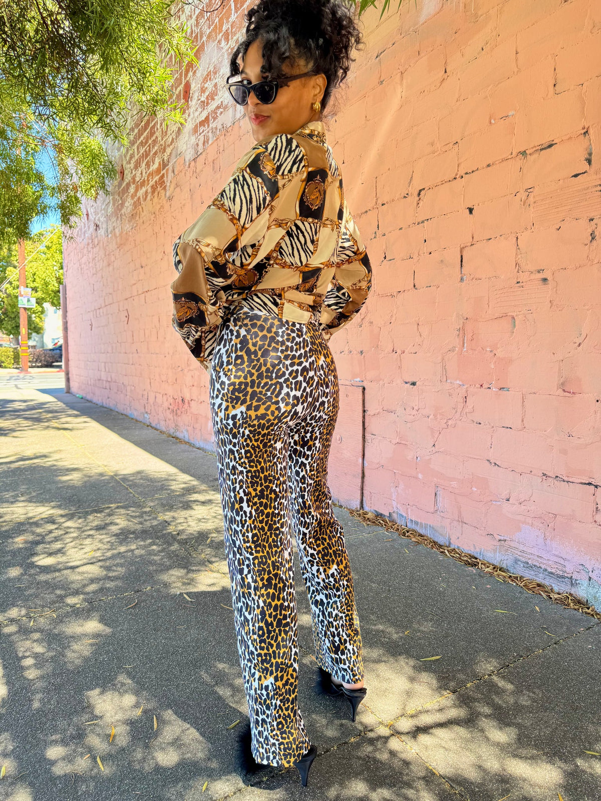 Palazzo Pant: Wildcat
