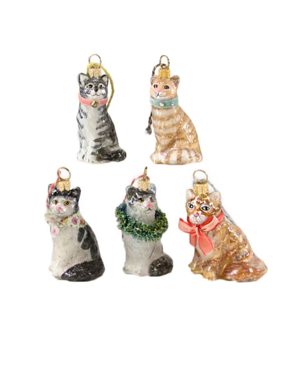 Kitten Ornament: Assorted