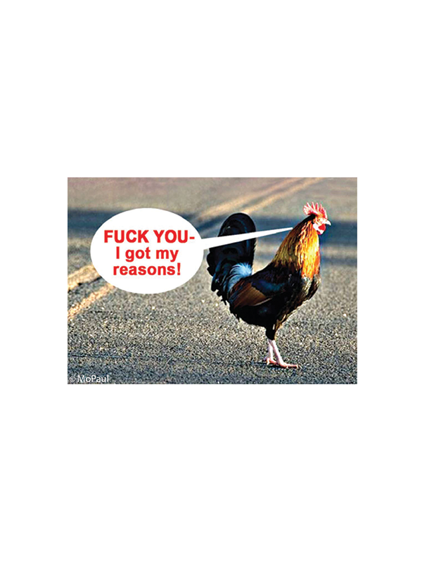 Magnet: F*ck You! I Got My Reasons! (Chicken Crossing Road)