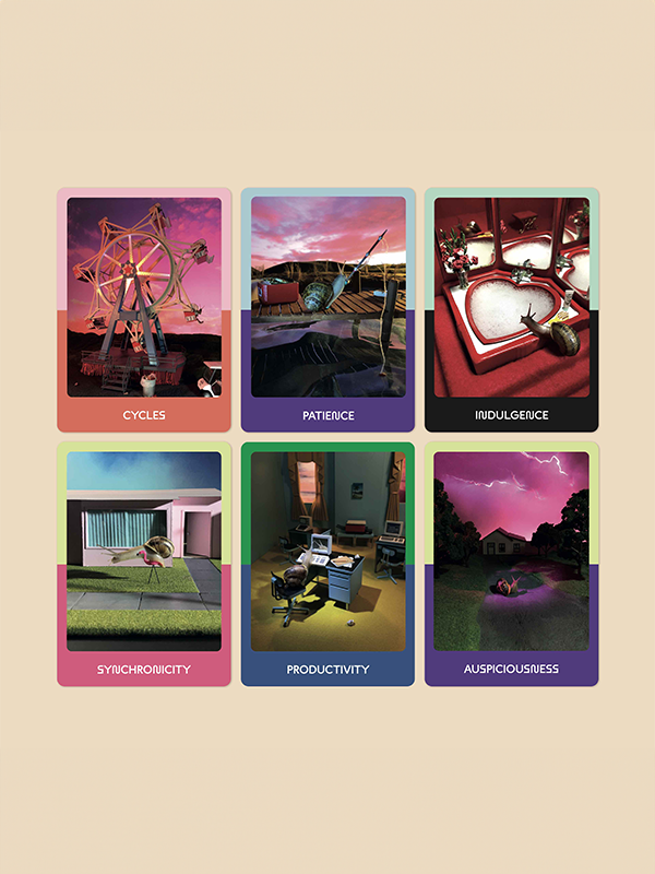 The Snail Oracle: 33 Card Deck & Guidebook