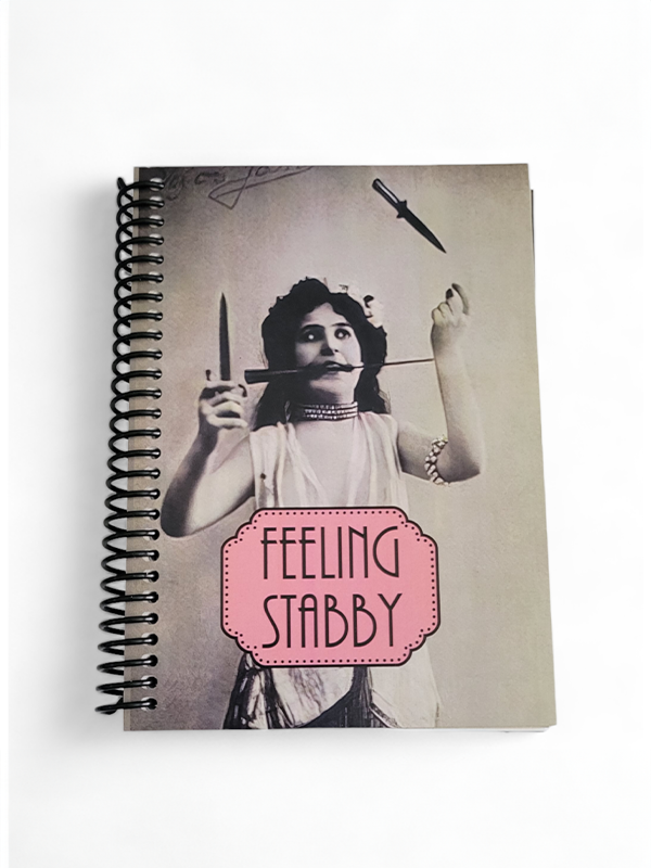 Feeling Stabby Notebook