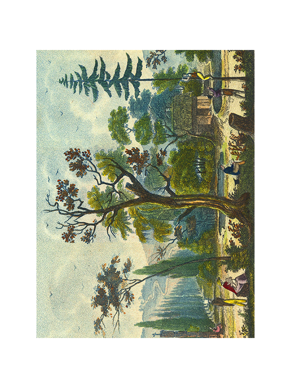 John Derian Paper Goods: Wrapping Paper & Gift Tags