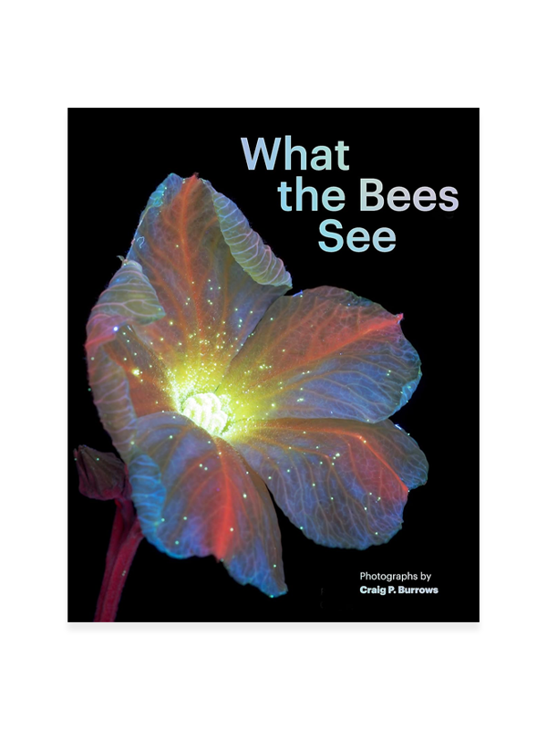 What the Bees See: A Honeybee's Eye View of the World